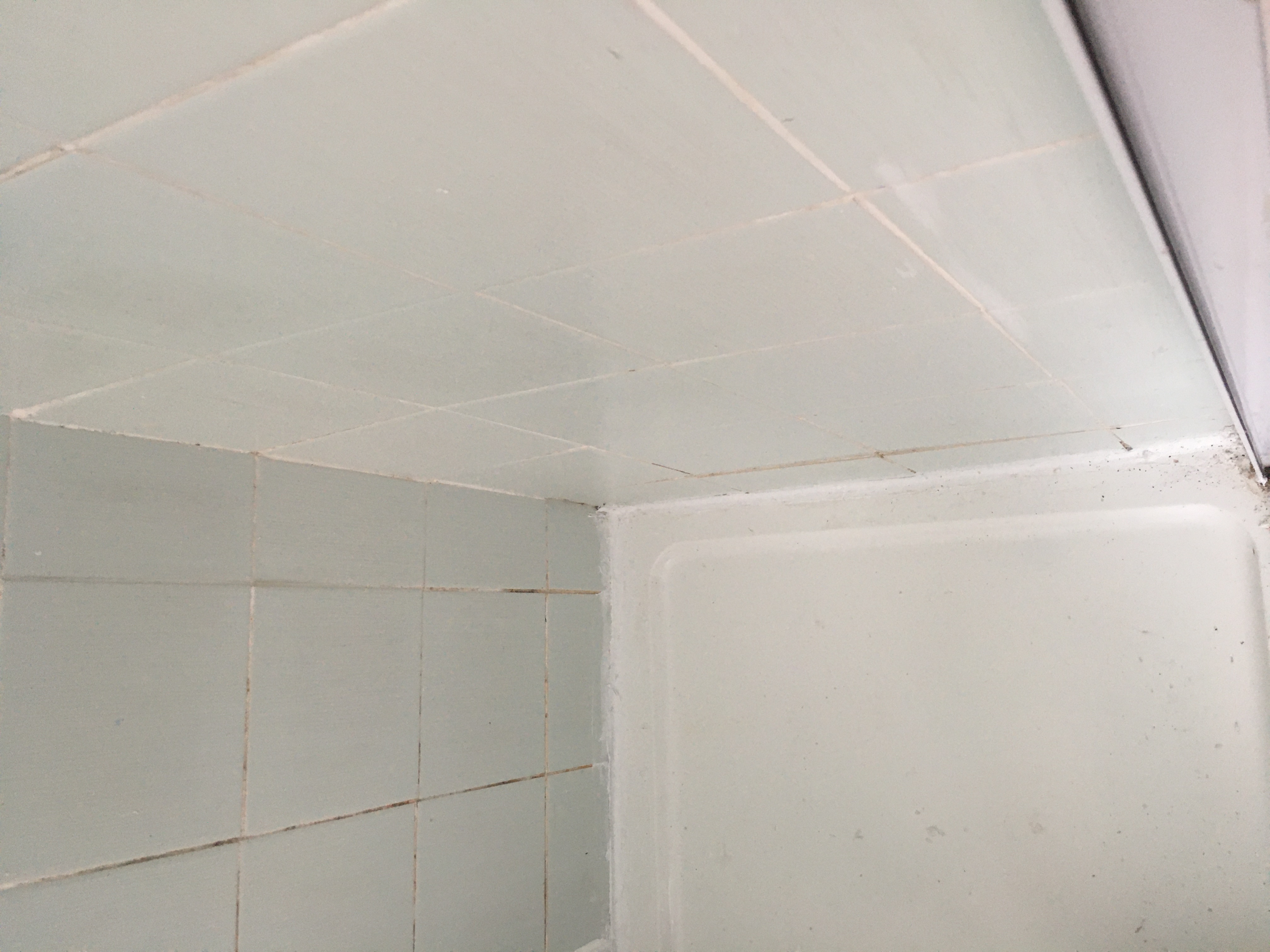 Image Of Client walk-in Shower